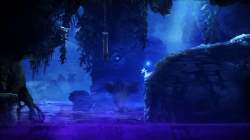 Ori and the Blind Forest: Definitive Edition (2016)