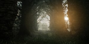 No70: Eye of Basir (2017)