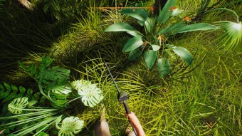 Treasure Hunter Simulator (2018)