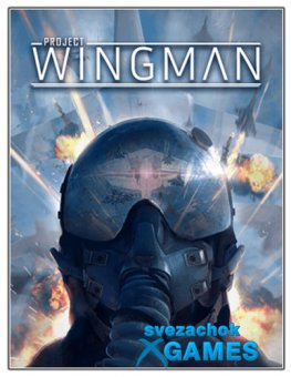 Project Wingman  (2020)